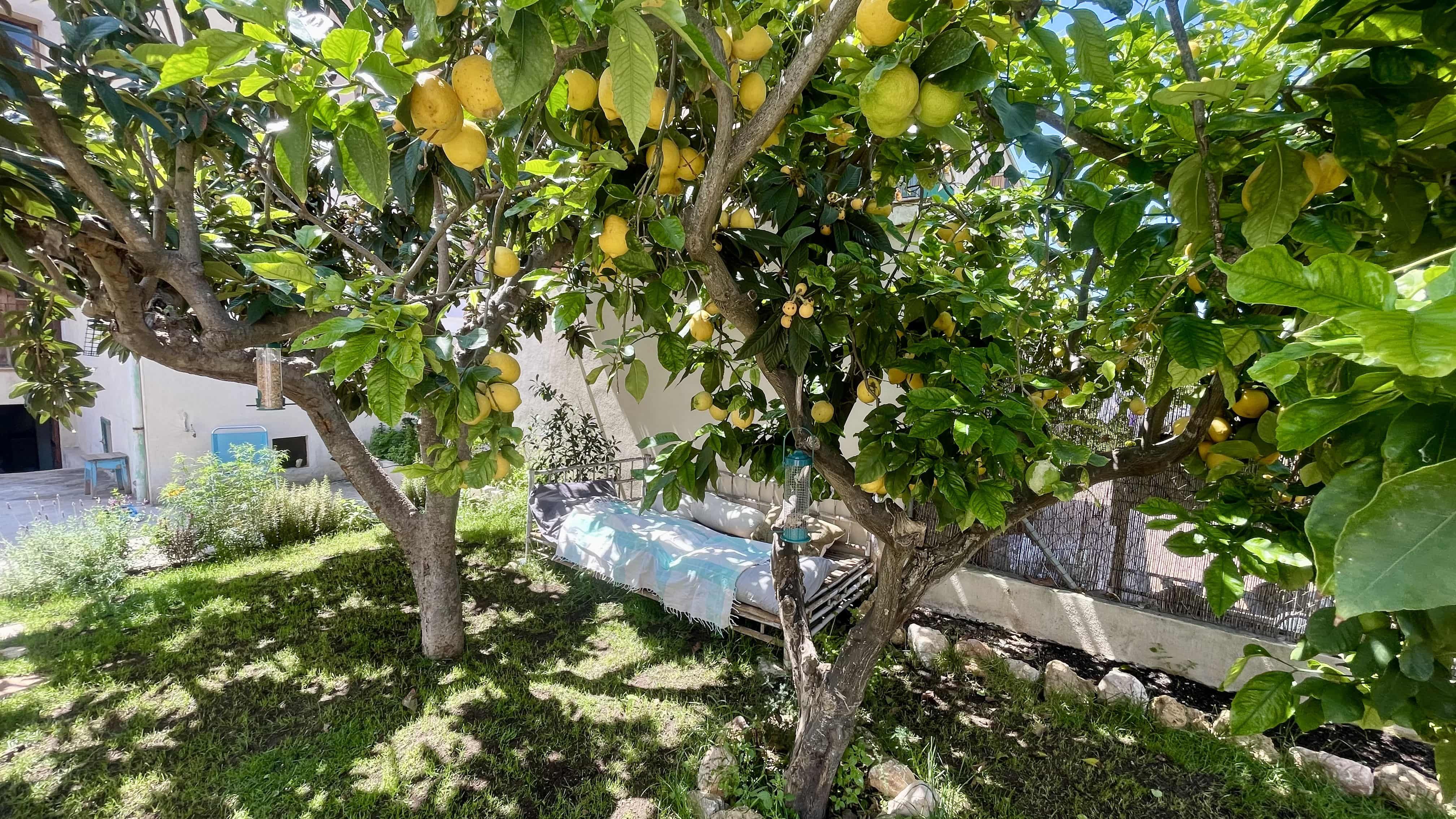 Garden of Single-family semi-detached for sale in Sóller