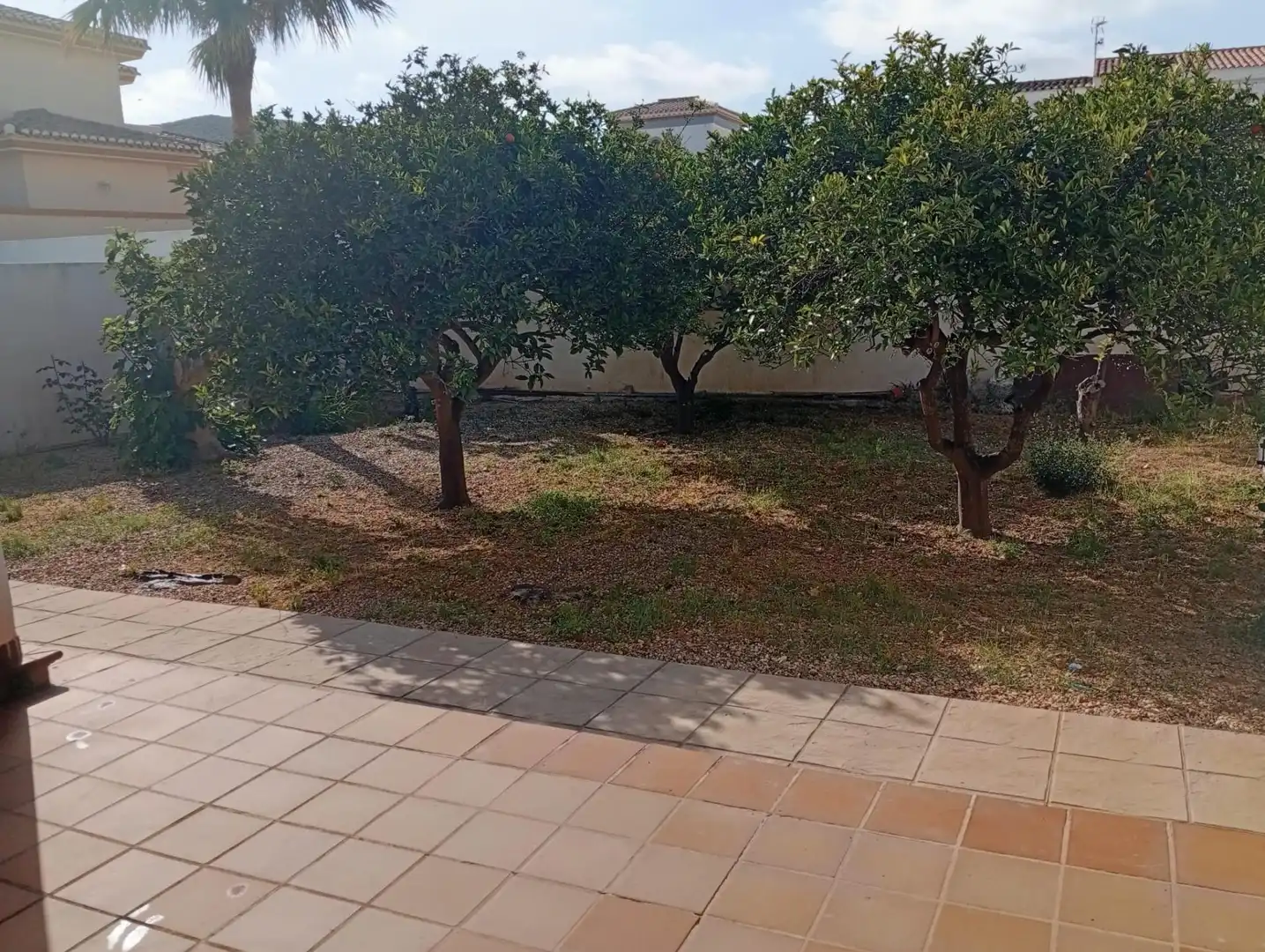 Adossat amb terrassa en venda a Los Gallardos, imagen 44