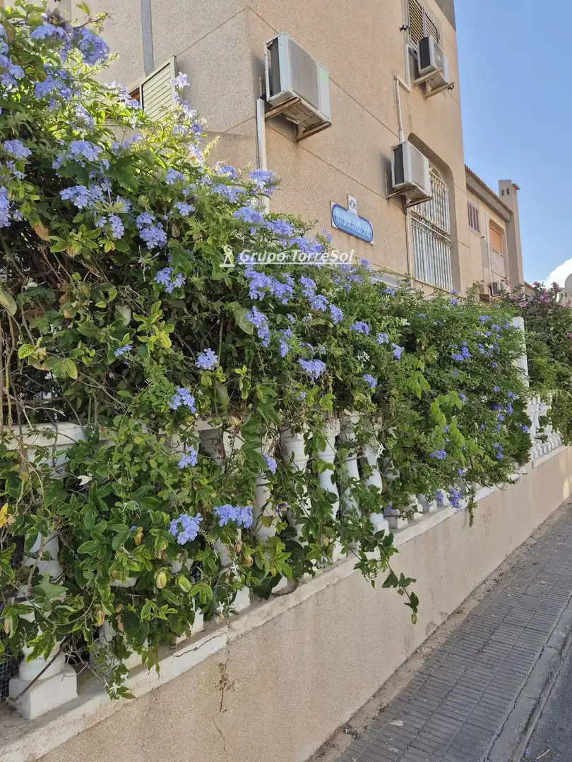 Casa bifamiliare con giardino in vendita a Vicente Blasco Ibañez, imagen 49