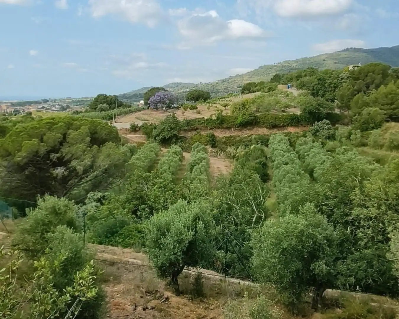 Maison rustique à vendre à La Selva del Camp, imagen 32