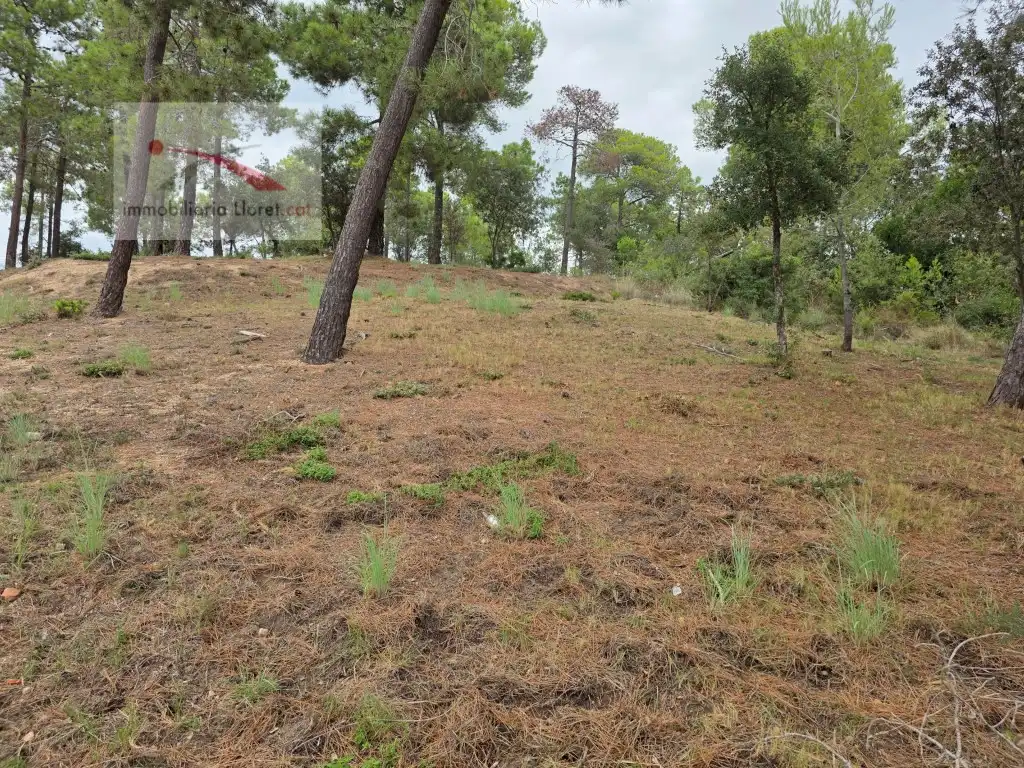 Wohnbaugrundstück zum Verkauf in Condado del Jaruco - Puigventós, imagen 5