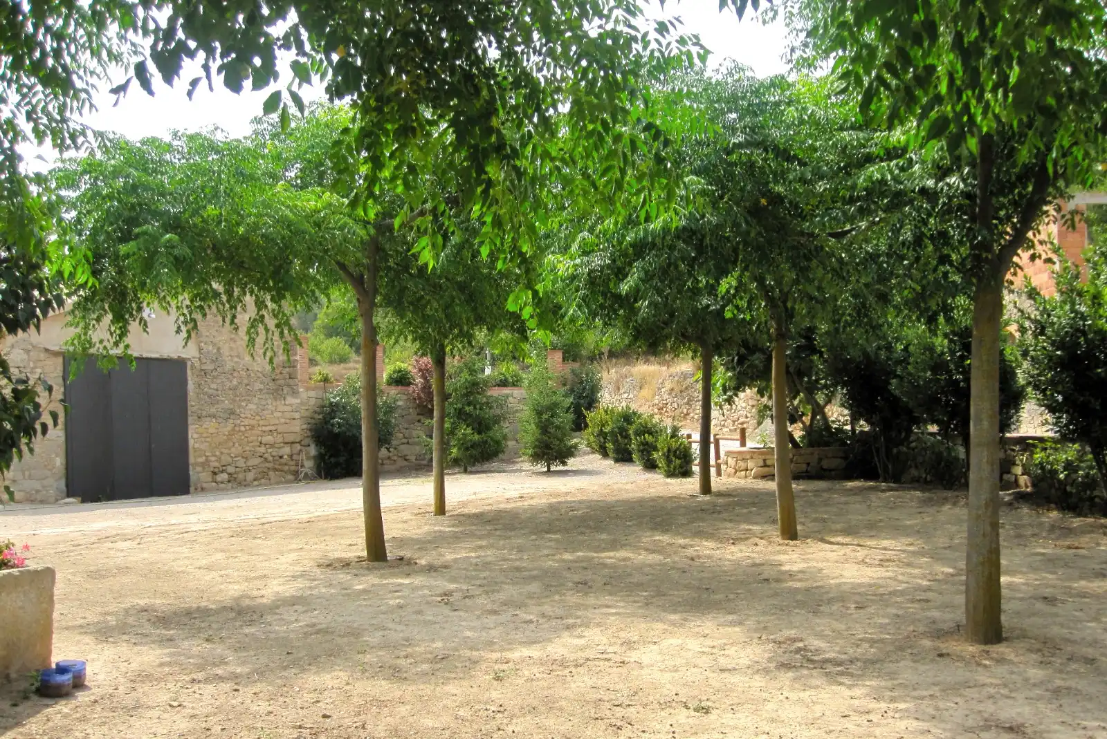 Terreno rústico en venta en Vallbona de Les Monges, imagen 16