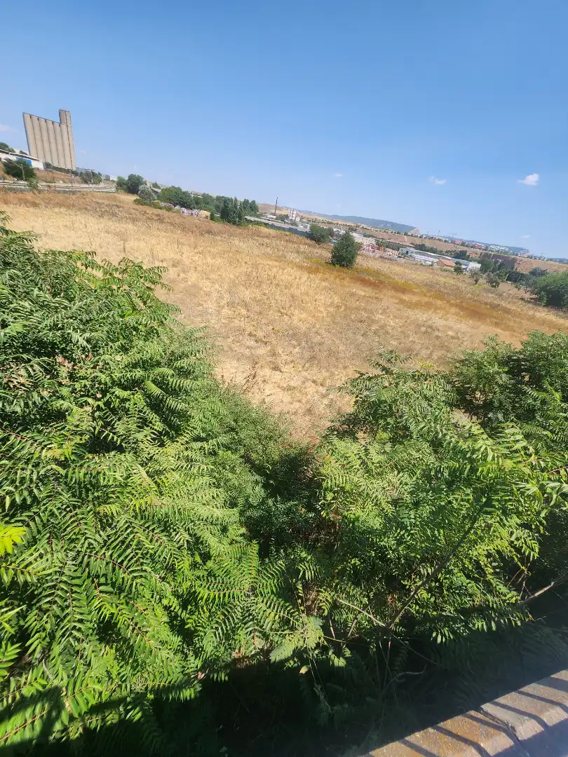 Terreno residenziale in vendita a Marchamalo, imagen 39