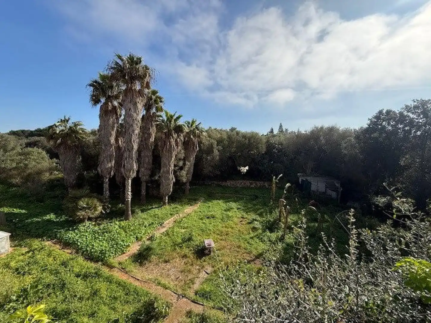 Maison rustique avec terrasse à vendre à Ciutadella, imagen 24