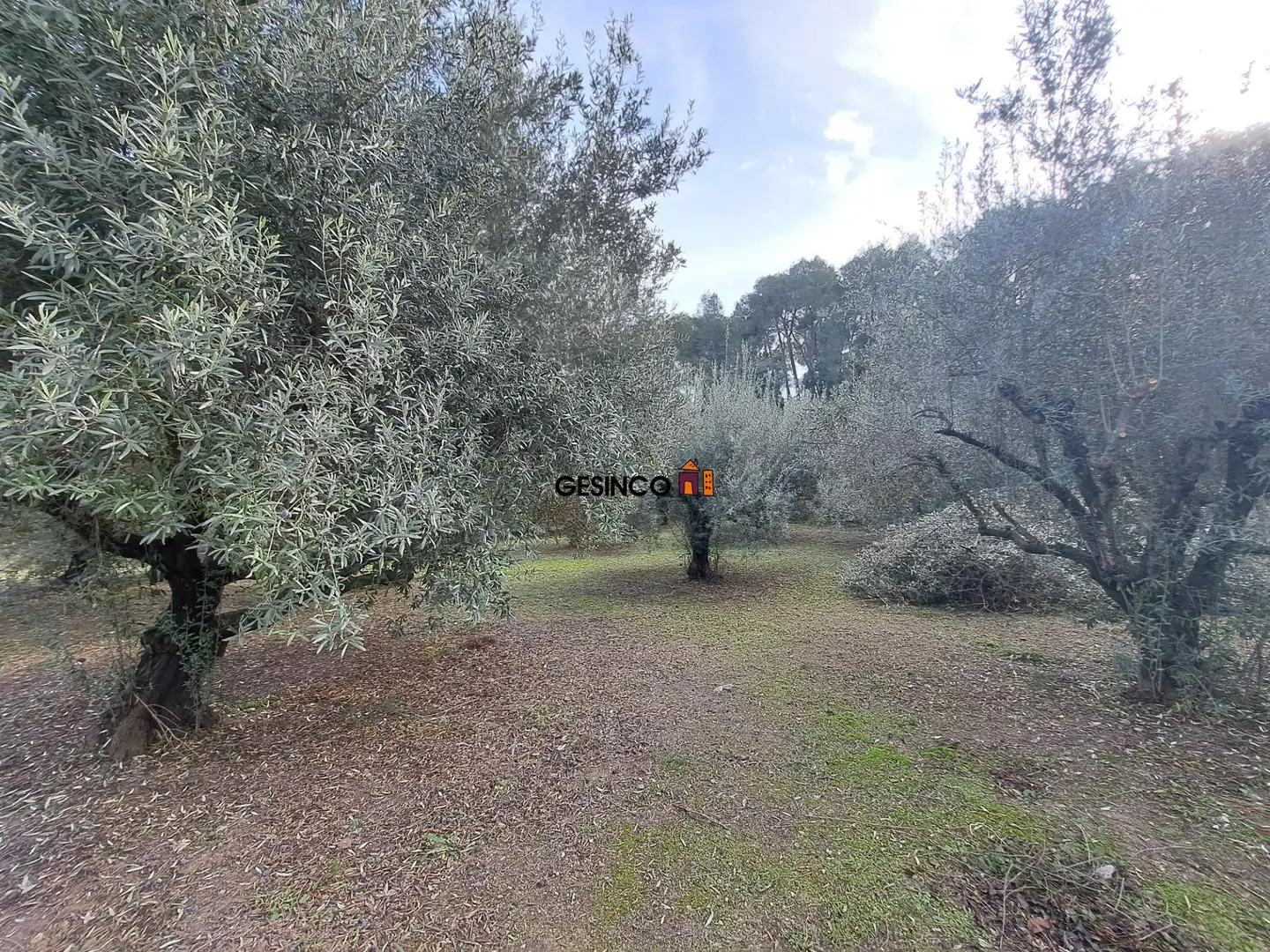 Casa o xalet en venda en Xàtiva amb Jardí privat i Terrassa