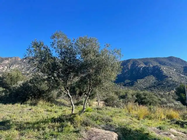 Residential land for sale in Can Muni. Polígono 2 Parcela, imagen 9