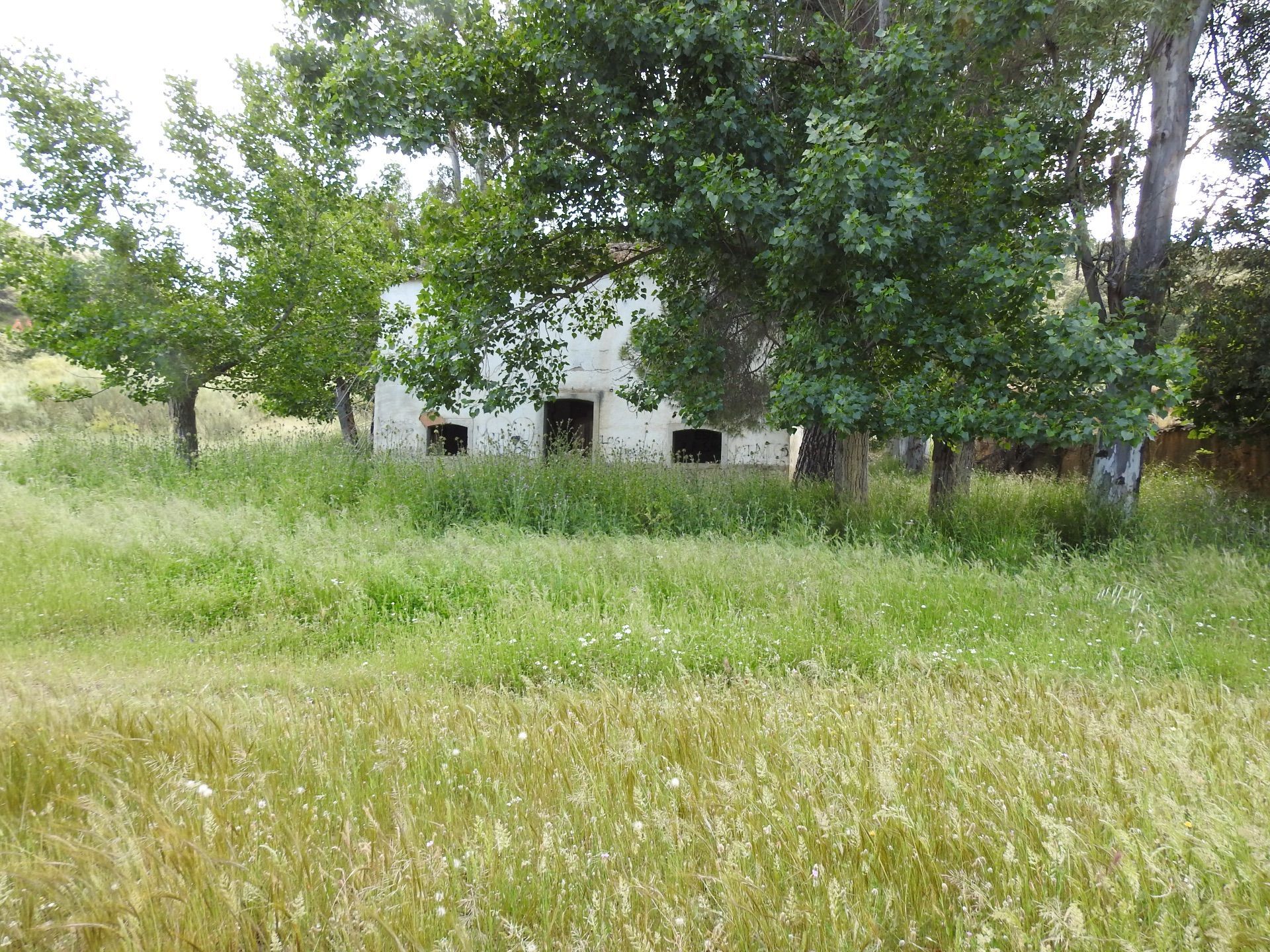 Land for sale in Belvís de la Jara