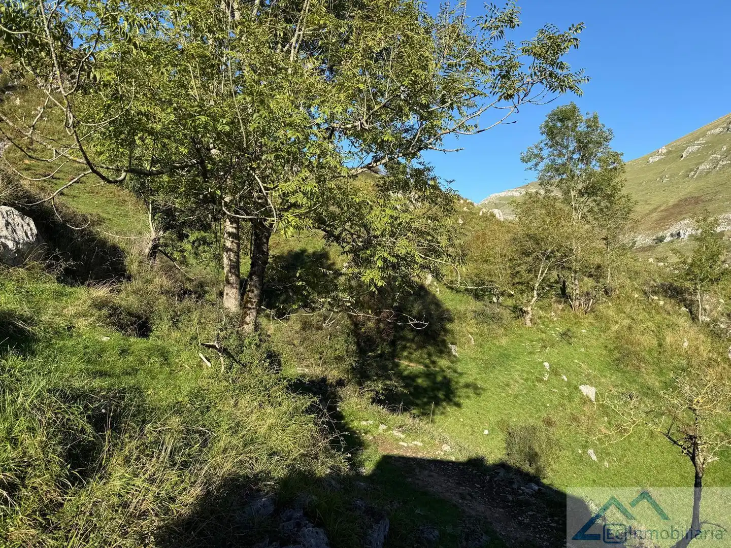 Finca rústica en venta en Ruesga