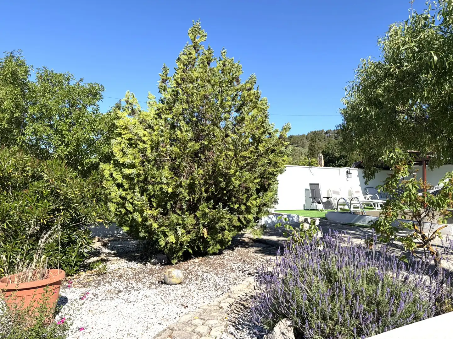 Jardí de Finca rústica en venda en Ascó amb Aire condicionat, Calefacció i Piscina