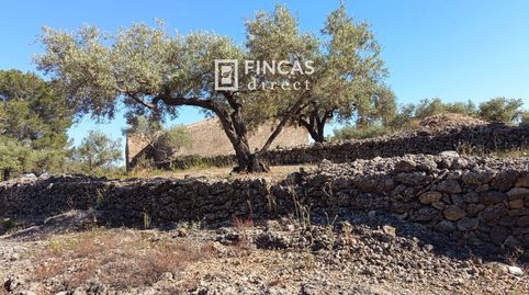 Foto 4 de Finca rústica en venda a Rm57+v3f, L'Ampolla, Tarragona