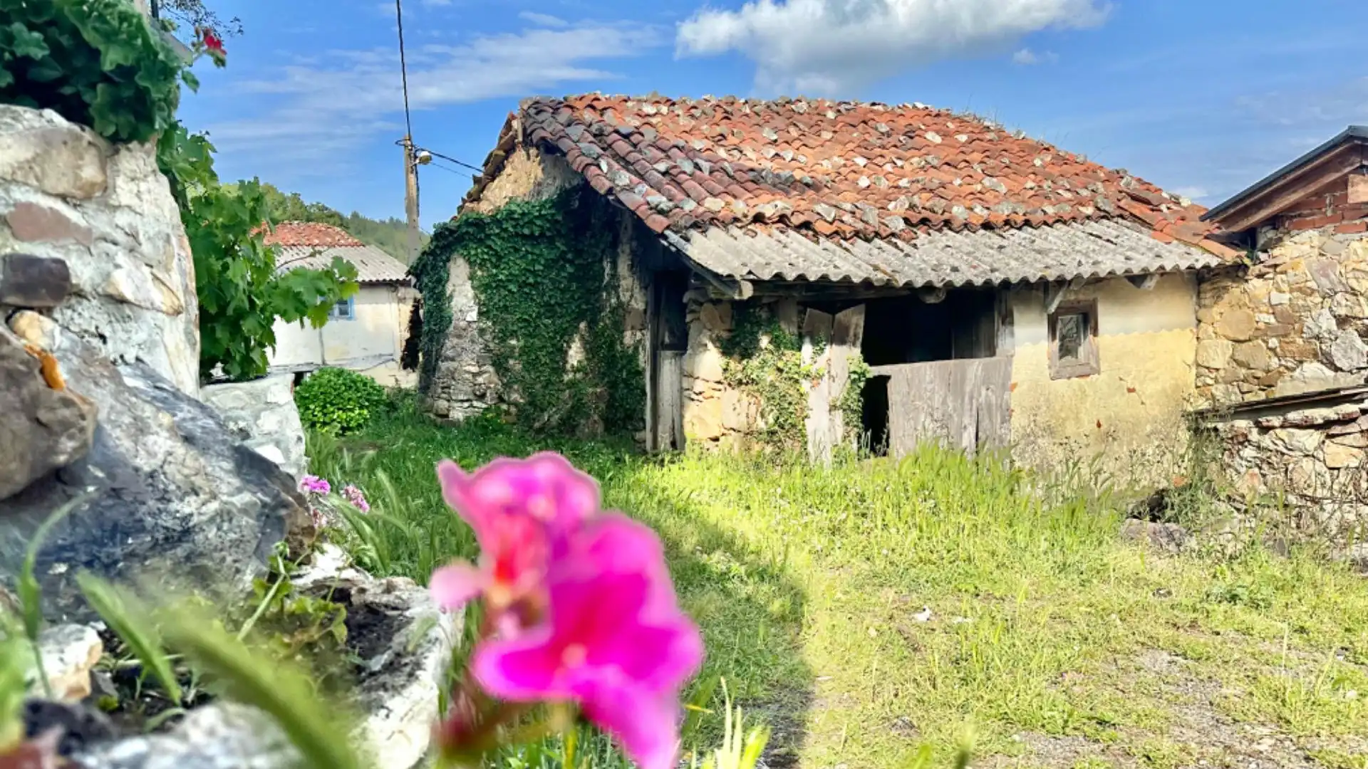 Vista exterior de Casa o chalet en venta en Salas con Jardín privado