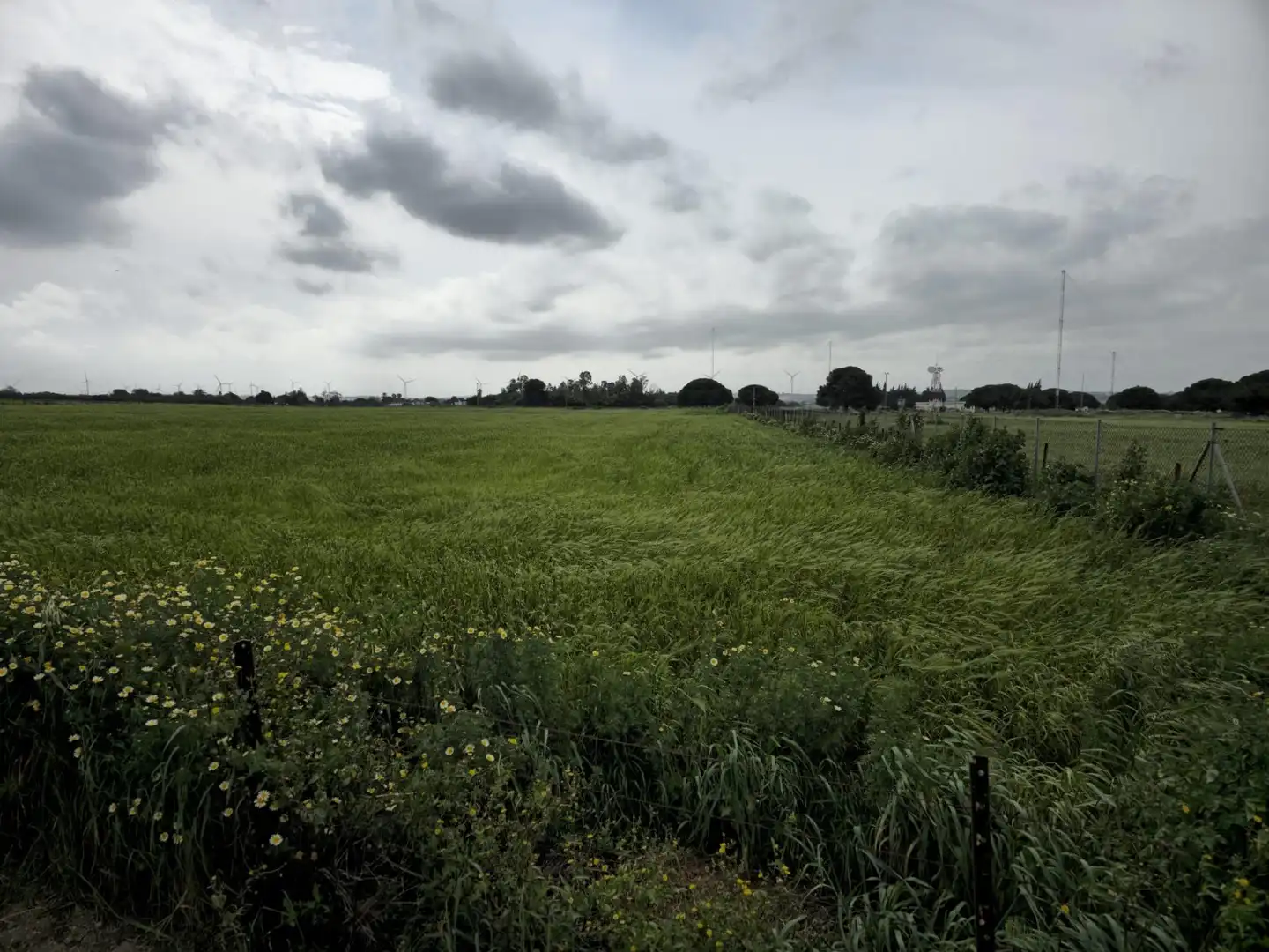 Finca rústica en venta en Puerto Real con Trastero
