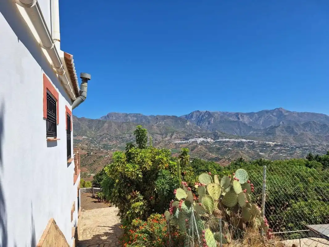 Casa rústica amb terrassa en venda a Diseminado PAGO BENAMAR, imagen 42