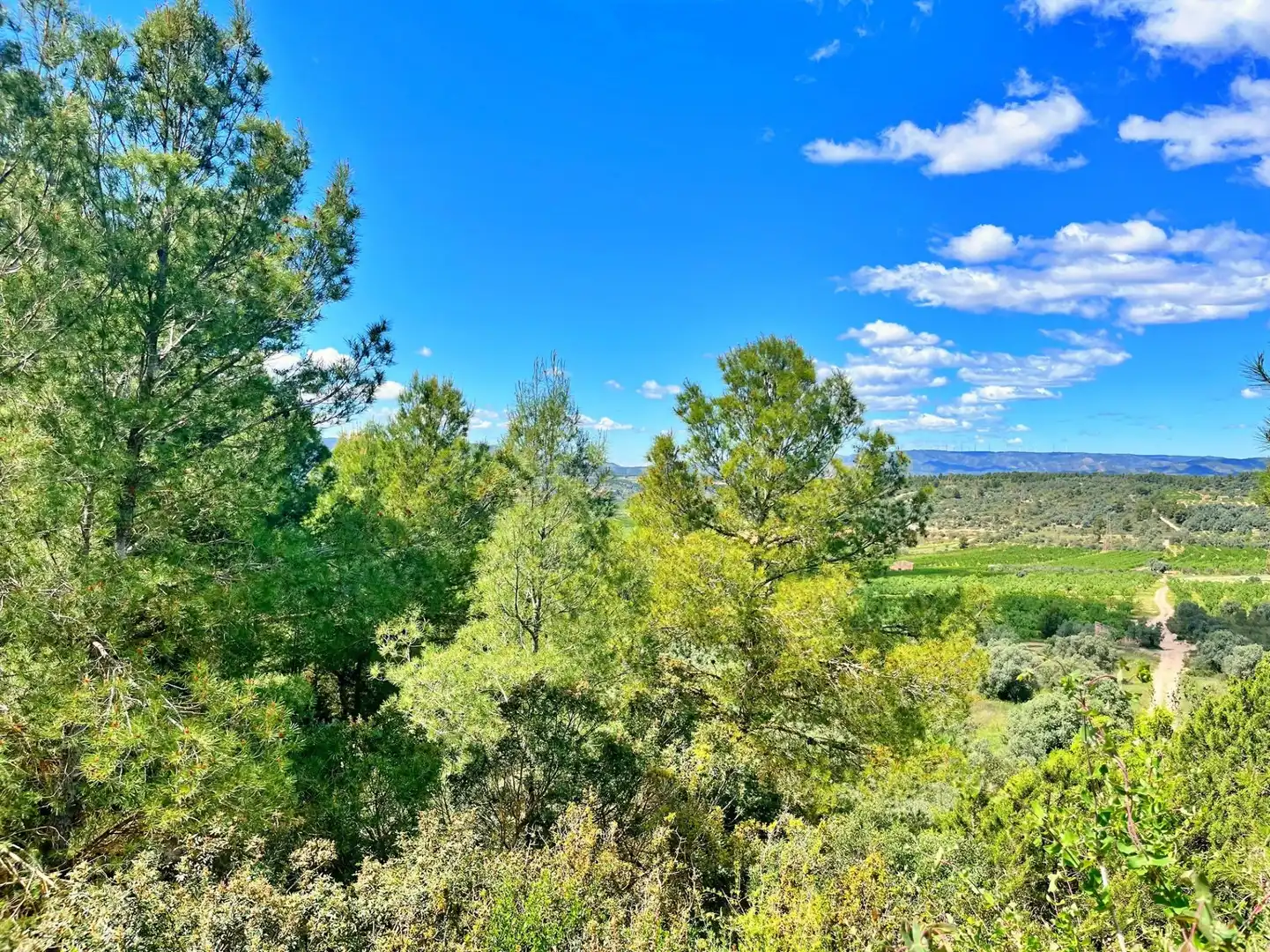 Houses for sale in Flix