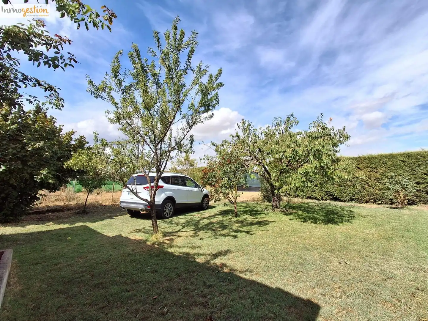 Terreno rustico in vendita a Tudela de Duero, imagen 20