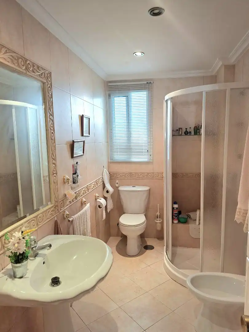 House with terrace for sale in Calle Coronada, imagen 13