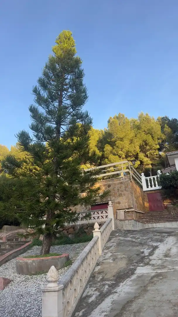 Finca rústica de alquiler en FUENTE DEL ORO, San Miguel - El Paraiso