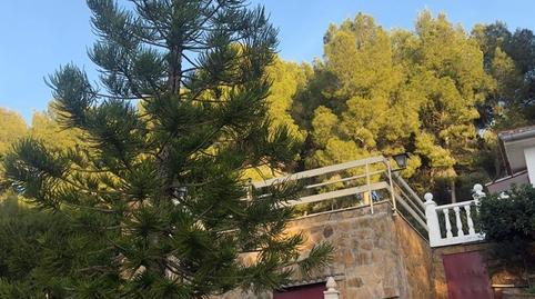 Foto 3 de Finca rústica de lloguer a Fuente del Oro, San Miguel - El Paraiso, Náquera