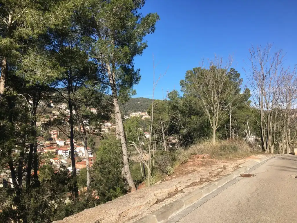 Rustikales Grundstück zum Verkauf in Av Els Pinars, imagen 7