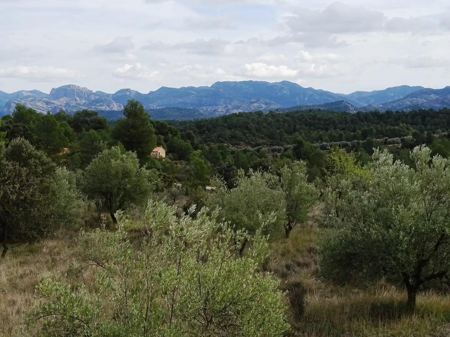 Terreni e lotti in vendita a Cretas