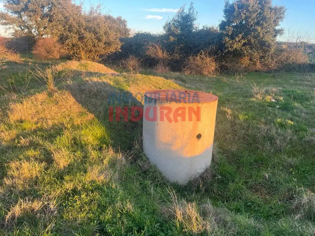 Casa rústica en venda a Diseminados Paraje Vi/As, imagen 4