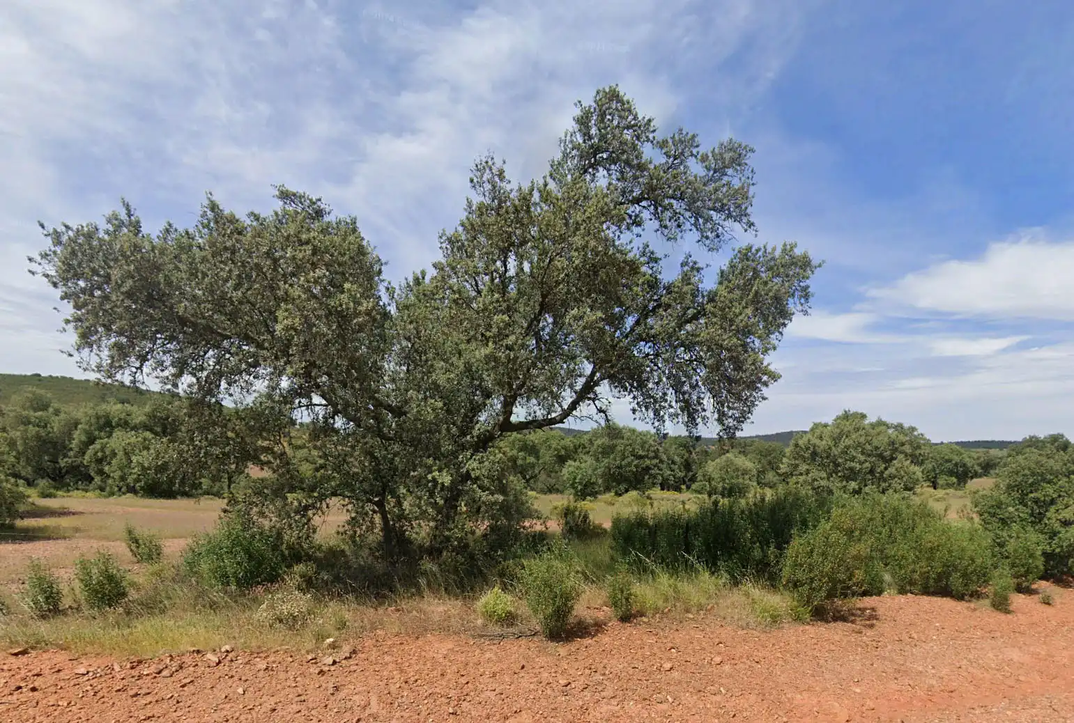 Terreny rústic en venda a Villanueva de la Serena, imagen 12