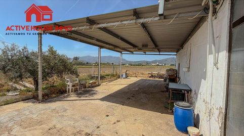 Foto 5 de Finca rústica en venda a Calle Sèquia de la Figuerola Dreta, Eucaliptus - Poble Nou del Delta, Amposta