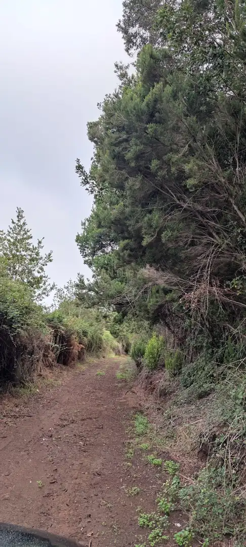Terreny rústic en venda a Camino El Pozo, imagen 5