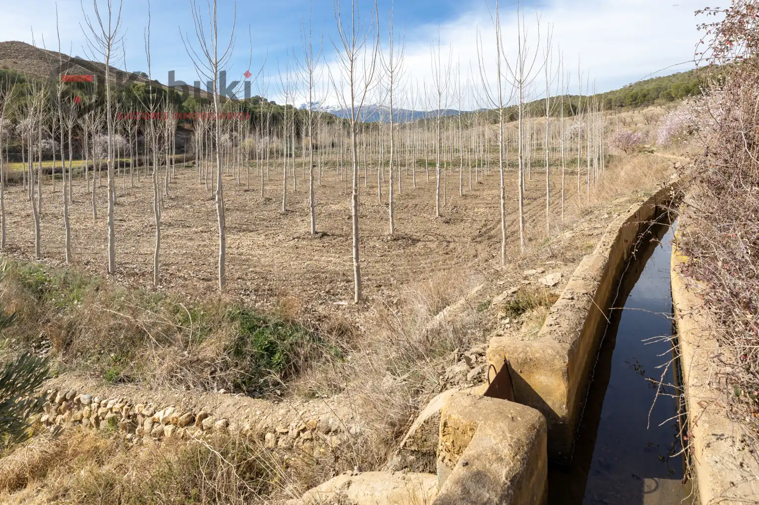 Terreni e lotti in vendita a Guadix - AUTE. VALLE DEL ZALABI