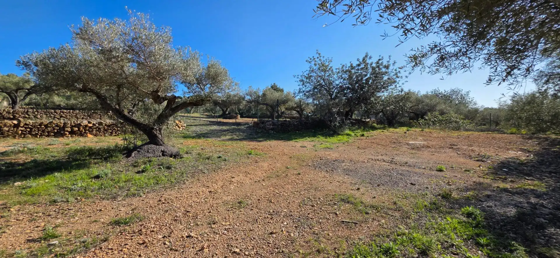 Finca rústica en venta en Roques Daurades - L'Estany