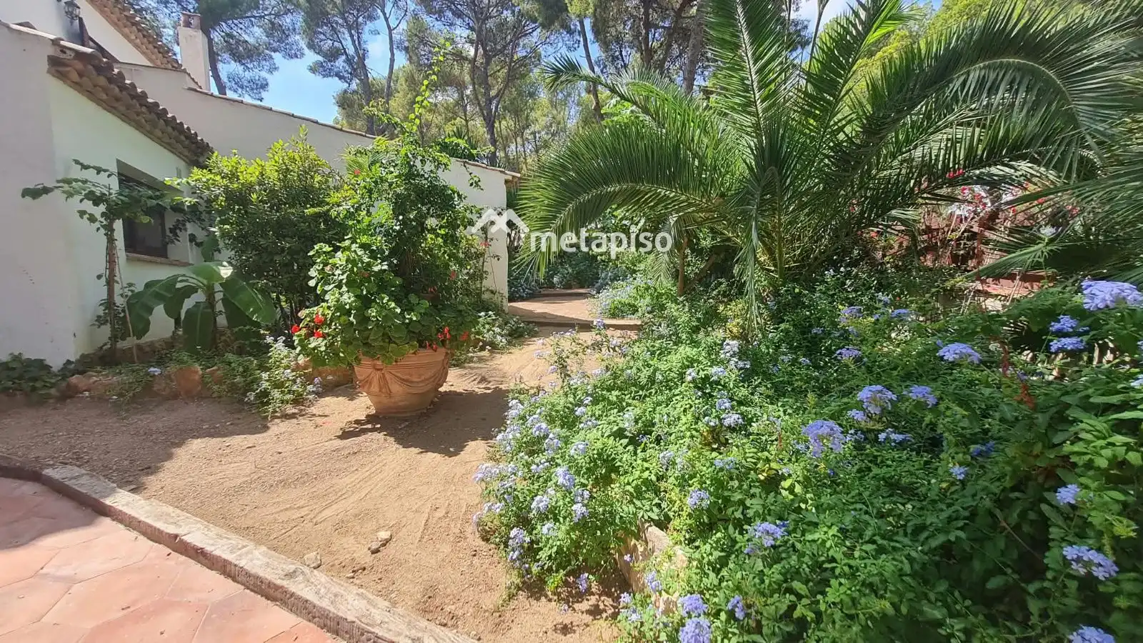Villa con piscina in vendita a DEL MAR, imagen 52