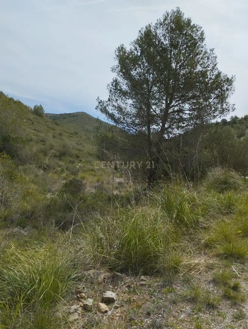 Terreny rústic en venda a poligono 3, imagen 11