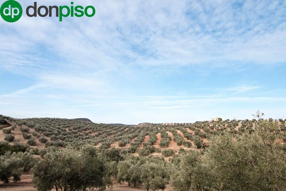 Casa rústica en venda a CORTIJO LA BARRAGANA, imagen 8