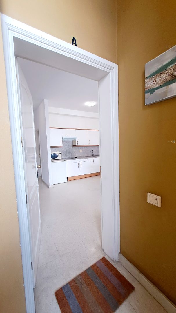 Cuina de Apartament de lloguer en Las Palmas de Gran Canaria amb Moblat, Rentadora i Microones