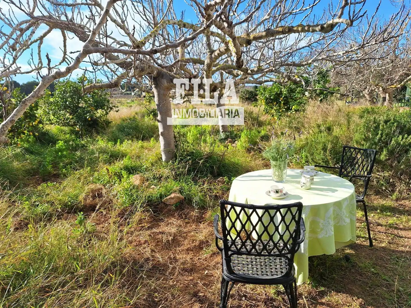 Villa à vendre à La Franquesa - Oasis Park, imagen 39
