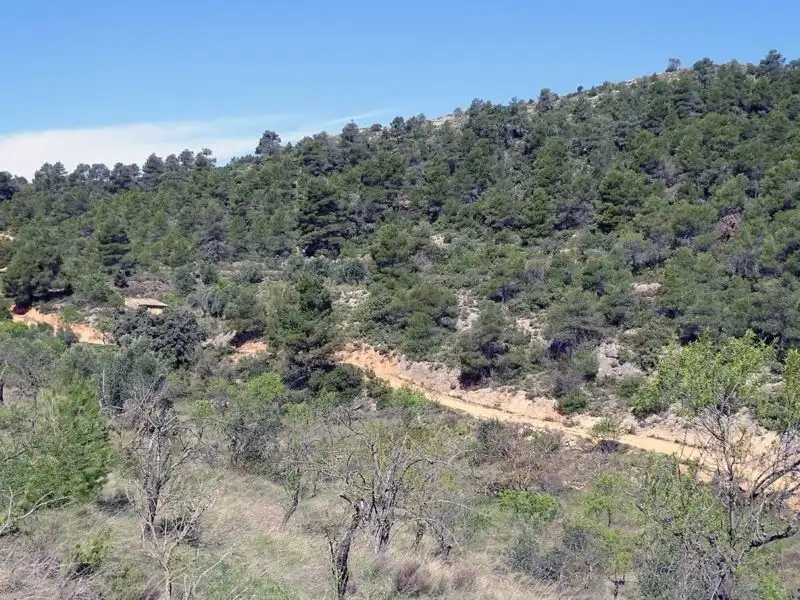 Finca rústica en venta en Beceite