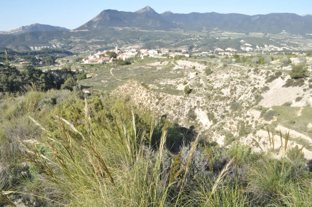 Terreno industrial en venta en Tibi