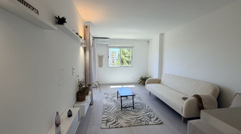 Photo 3 of Apartments for rent in Portals Nous, Calvià