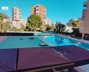 Swimming pool of Flat for sale in Alicante / Alacant  with Community pool