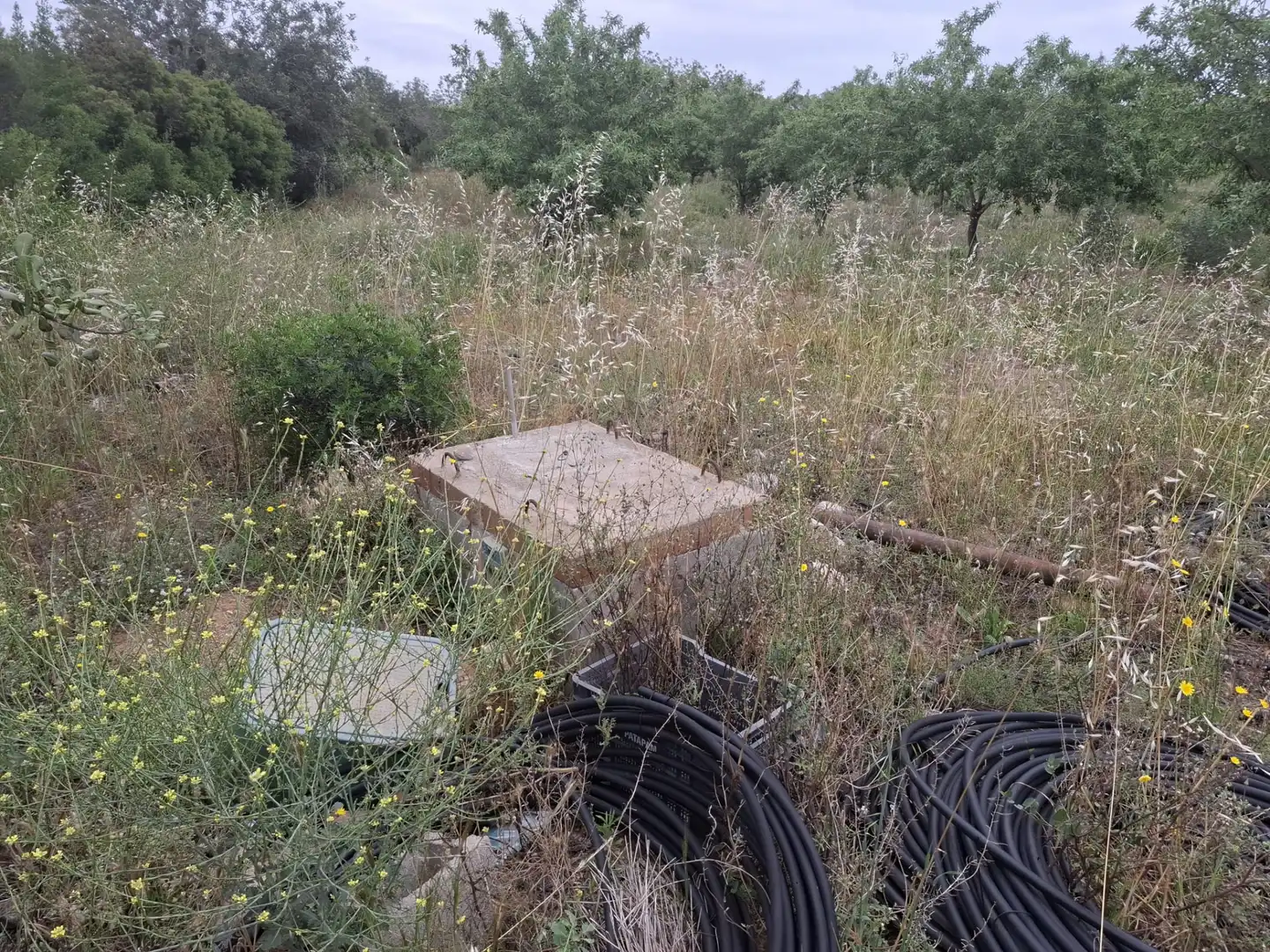 Land for sale in Mont-roig del Camp