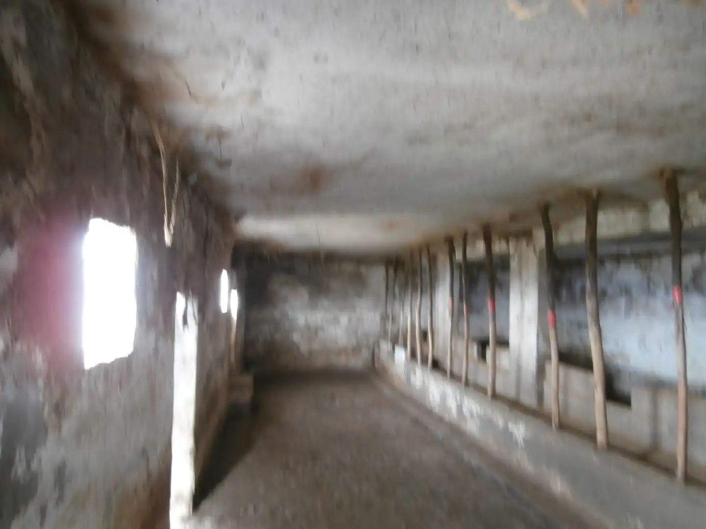 Finca rústica en venta en Camino Lomo el Marco, 41, Moya (Las Palmas)