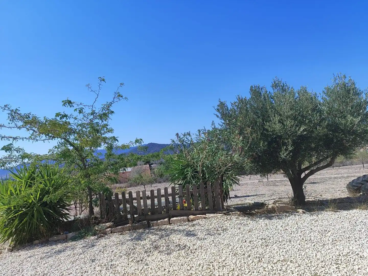 Villa à vendre à Monóvar  / Monòver, imagen 9
