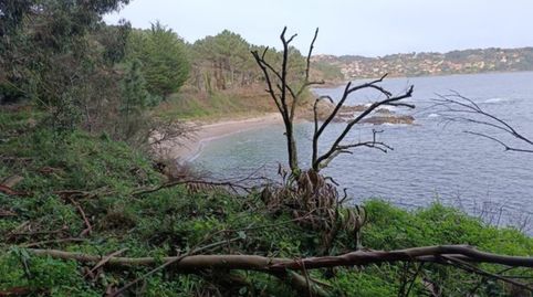 Foto 5 de Terreno en venta en Rua Eugenio Sequeiros, 1, Cangas pueblo, Cangas