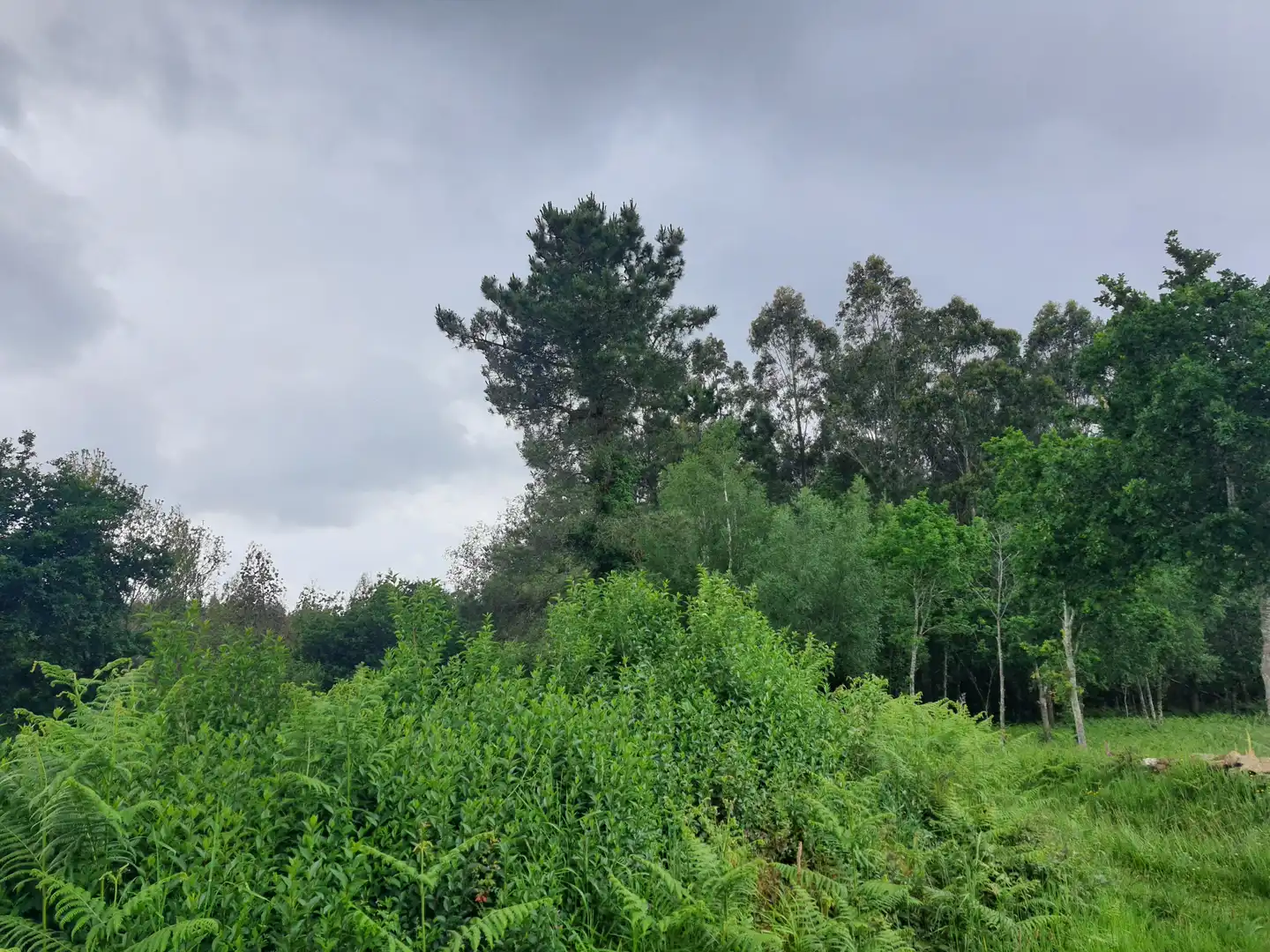 Terreno residencial en venta en Canelas 7, imagen 3