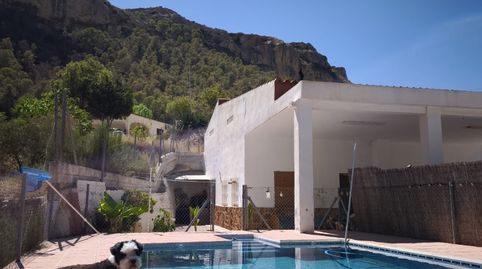 Foto 4 de Finca rústica en venta en Crevillent, Alicante