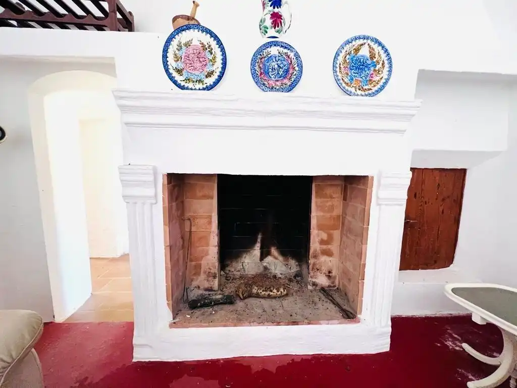 Casa rústica amb jardí en venda a San Juan de los Terreros, imagen 7