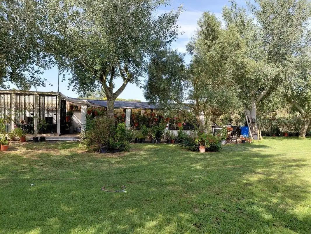 Casa rústica amb piscina en venda a Cartaya, imagen 2