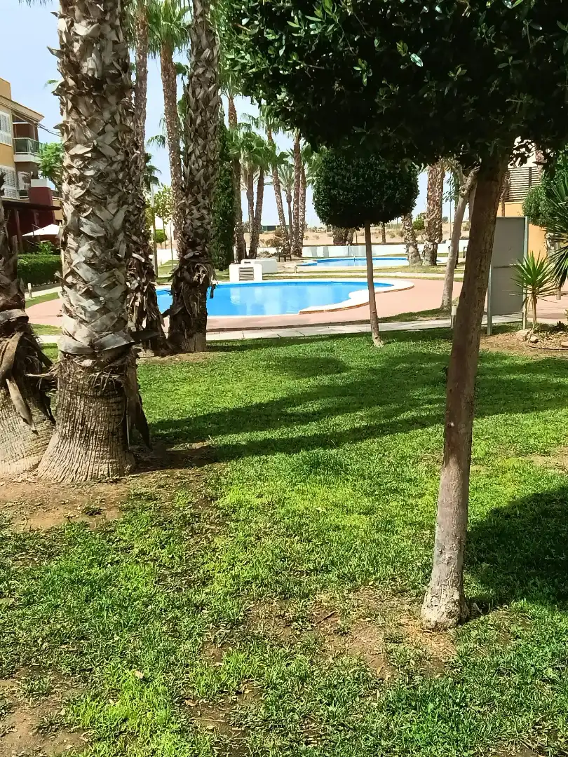 Swimming pool of Flat for sale in Fuente Álamo de Murcia  with Air Conditioner, Heating and Private garden