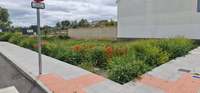 Terreno residencial en Venta en Calle Ermitas en Dos Torres