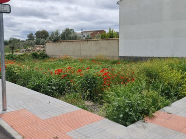 Terreny residencial en venda a Dos Torres